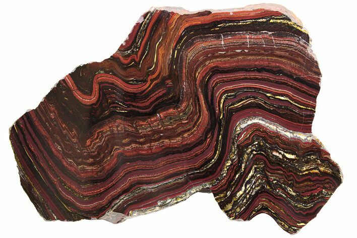Free-Standing Polished Tiger Iron Stromatolite - Ga #222120